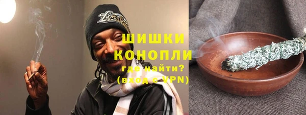 PSILOCYBIN Бородино