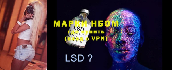 PSILOCYBIN Бородино