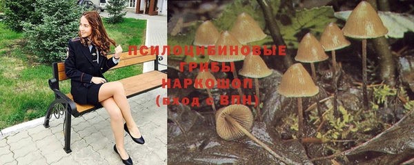 PSILOCYBIN Бородино