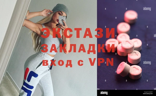PSILOCYBIN Бородино