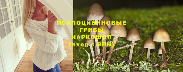 PSILOCYBIN Бородино