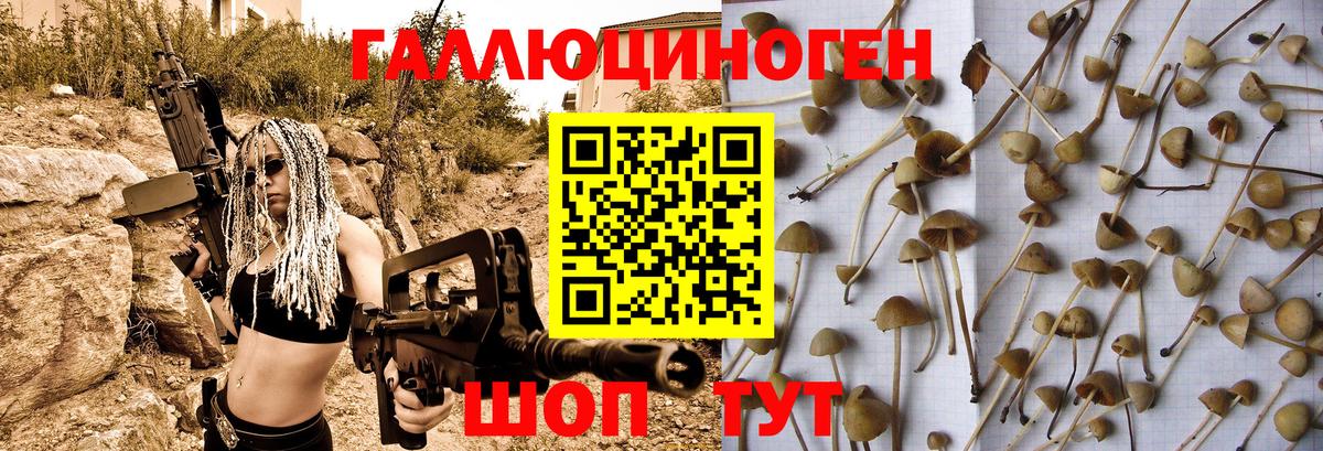 Курган  где купить наркоту  Вход с VPN  Галлюциногенные грибы MAGIC MUSHROOMS 