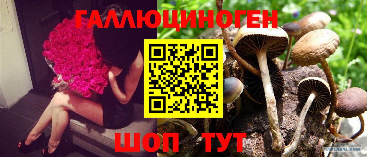 Галлюциногенные грибы MAGIC MUSHROOMS Курган